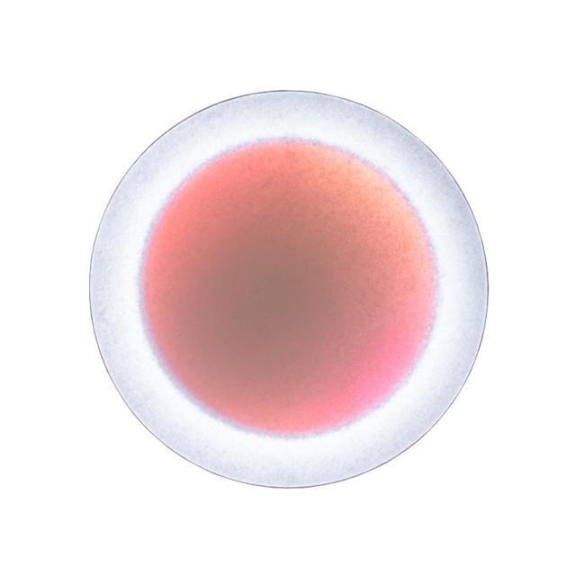 Hvid Ingo Maurer Moodmoon Runde Væglampe - Eksklusiv Design